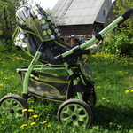 Детская универсальная коляска Adamex Gustaw 2