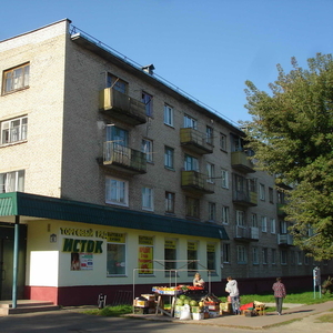 3-комнатная квартира в кирпичном доме в городе Быхов (ул.Гришина, 6)