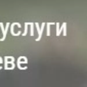 Могилёвское КУП Специализированный комбинат обслуживания населения
