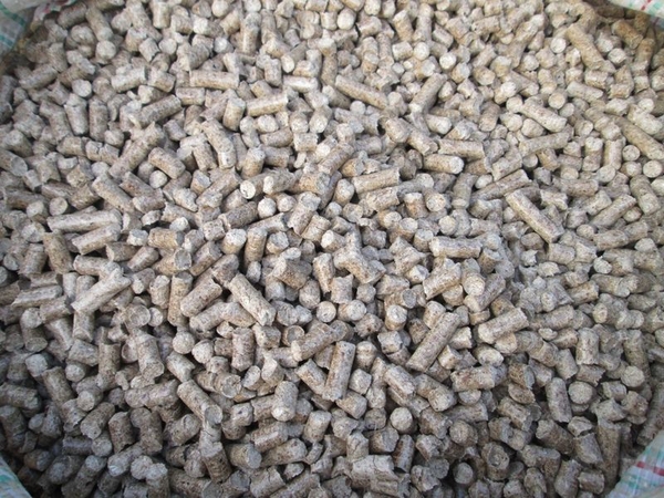 Линия по производству гранул из опилок (пеллетное производство,  топливные гранулы) 4
